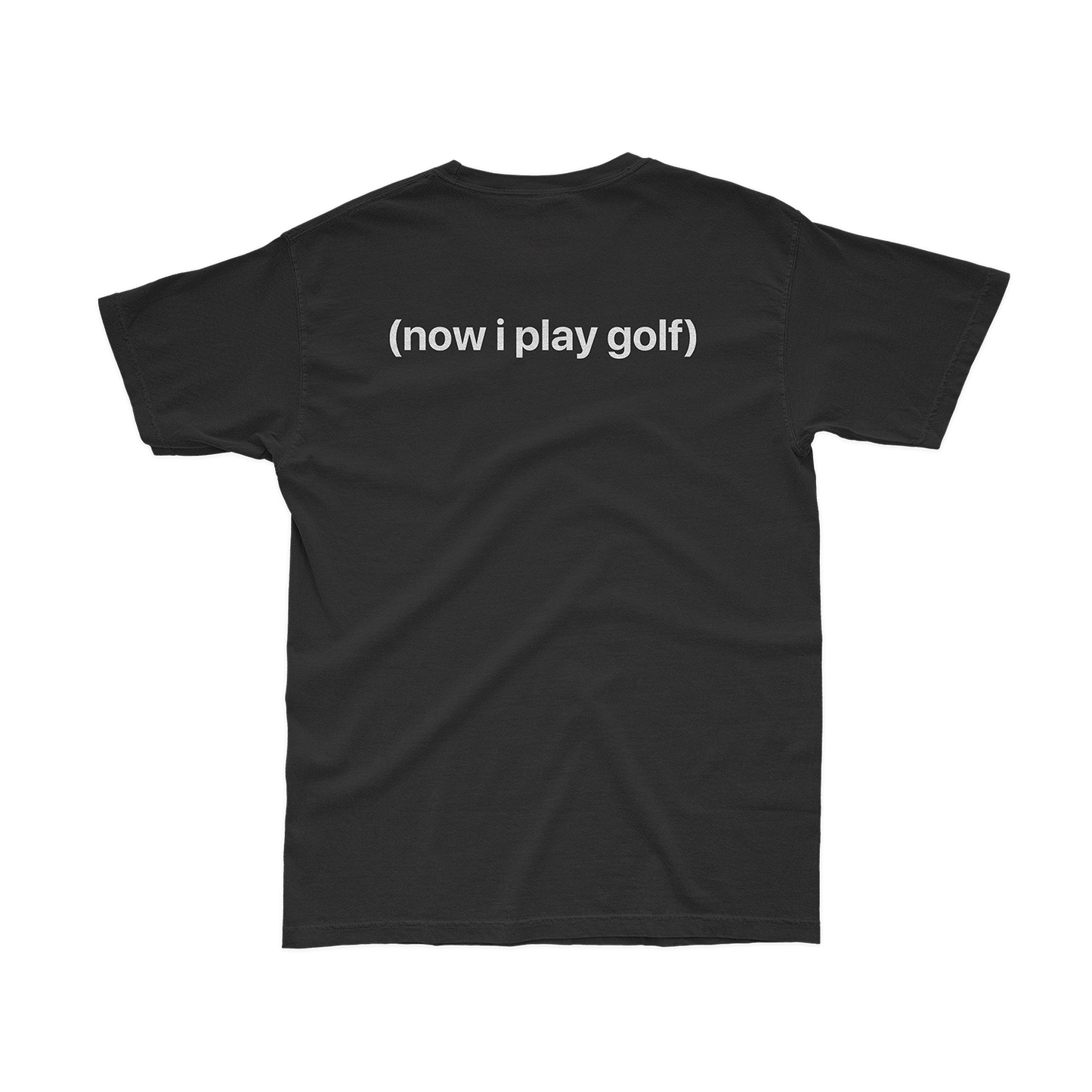 I Used to Skate x Now I Play Golf | T-Shirt | Storied