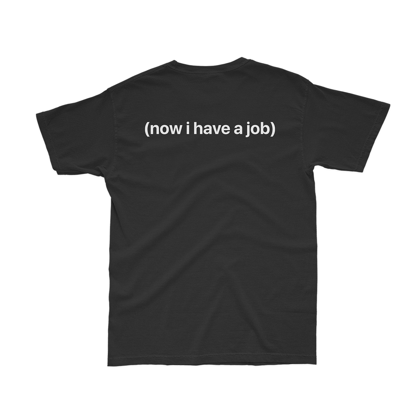 I Used To Skate x Now I Have a Job T-Shirt
